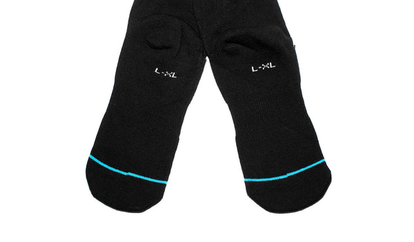 Stance Icon Socks (M311D14ICOB)