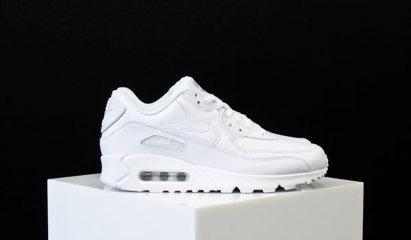 Nike Air Max 90 Leather (302519-113)