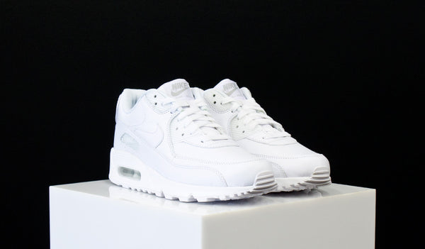 Nike Air Max 90 Leather (302519-113)